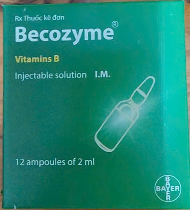BECOZYME 2ML Inj H/12 ống